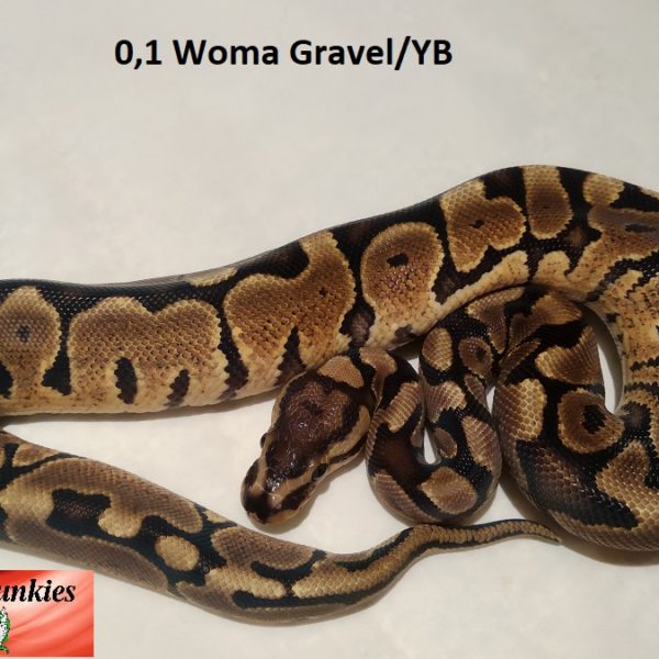 woma-gravel